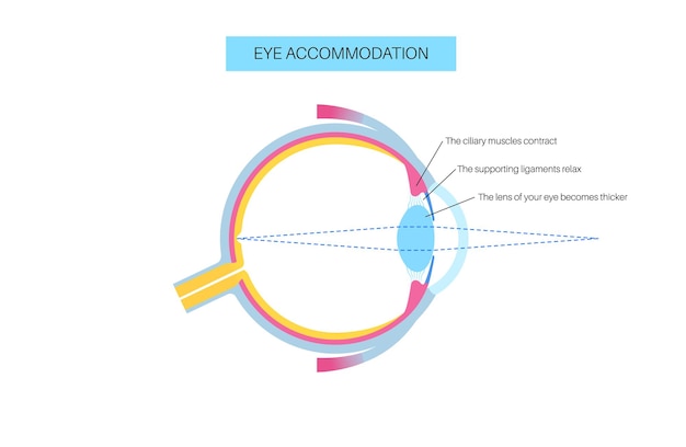 Vector cartel de alojamiento para los ojos