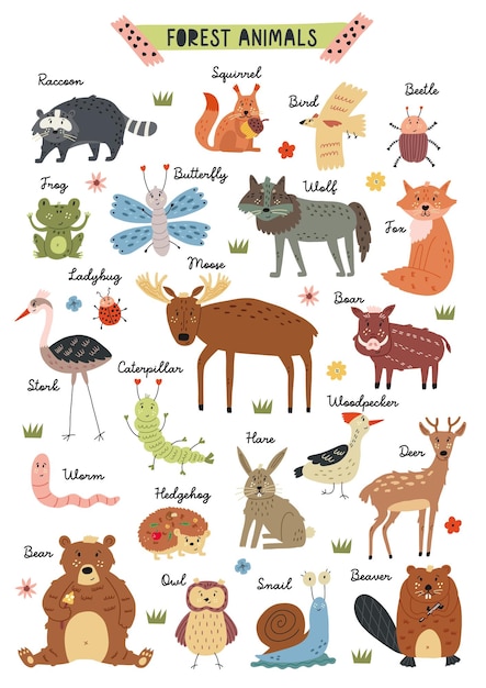 Cartel de animales del bosque del bosque ingenuo criaturas dibujadas a mano en la ilustración vectorial para la sala de guardería