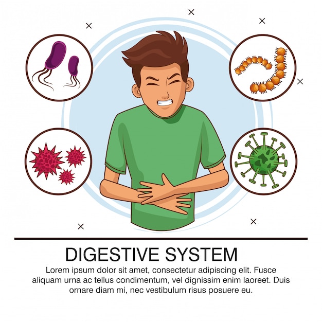 Cartel de bacterias del sistema digestivo