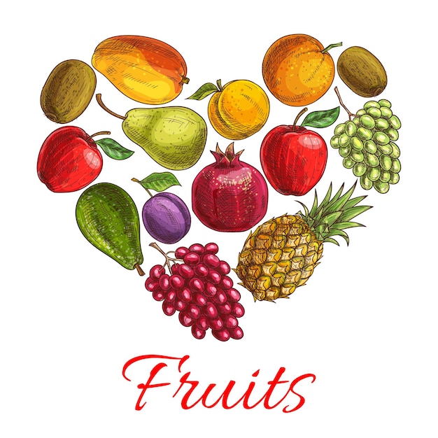 Vector cartel de boceto de corazón de fruta para diseño de comida de bebidas