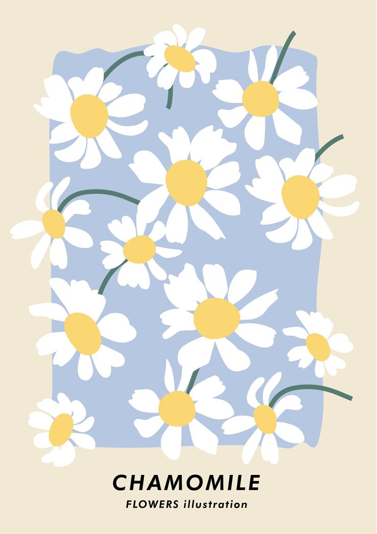 Vector cartel botánico de ilustración vectorial con flores de manzanilla arte para postales fondo de banner de arte de pared
