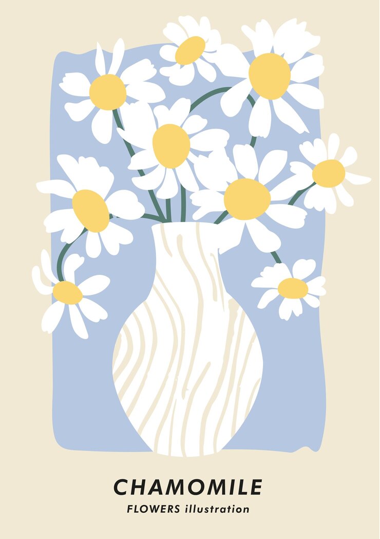 Cartel botánico de ilustración vectorial con flores de manzanilla Arte para postales fondo de banner de arte de pared