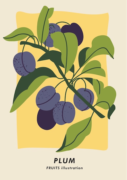 Cartel botánico de ilustración vectorial con frutas de ciruela arte para fondo de banner de arte de pared postal y cubierta