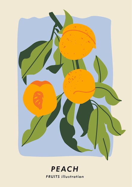 Cartel botánico de ilustración vectorial con frutas de melocotón Arte para fondo de banner de arte de pared postal y cubierta