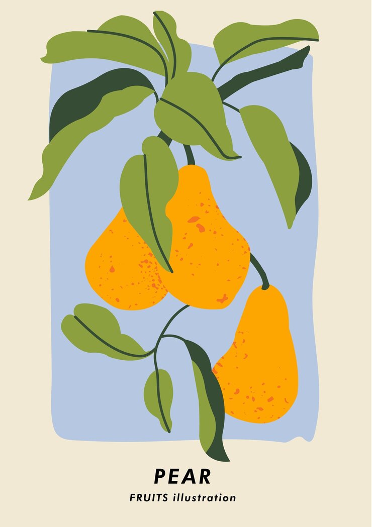 Cartel botánico de ilustración vectorial con frutas de pera Arte para fondo de banner de arte de pared postal y cubierta