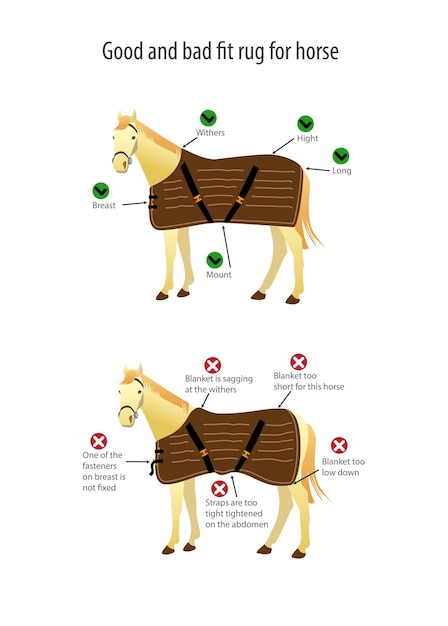 Cartel con buena y mala alfombra para caballo Ilustración vectorial