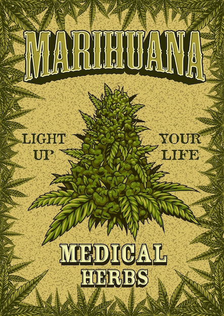 Vector cartel color marihuana