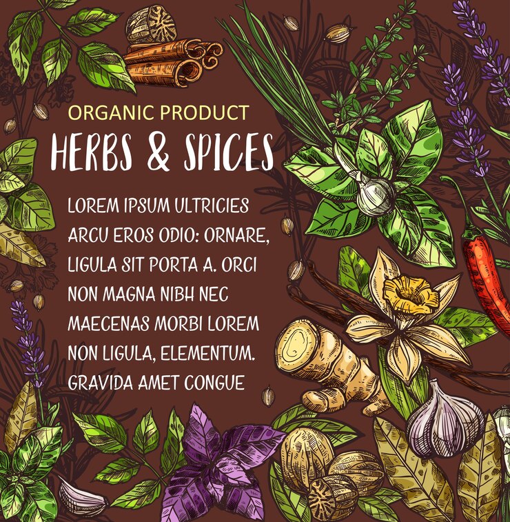 Vector cartel de condimentos de hierbas y especias.