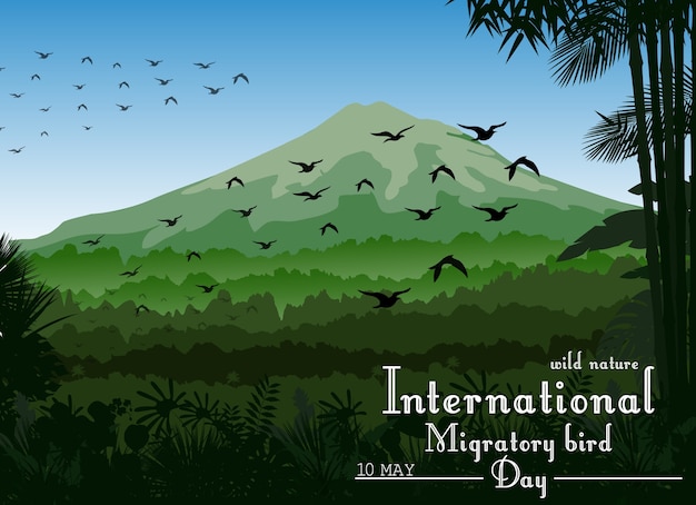 Cartel del día internacional de aves migratorias