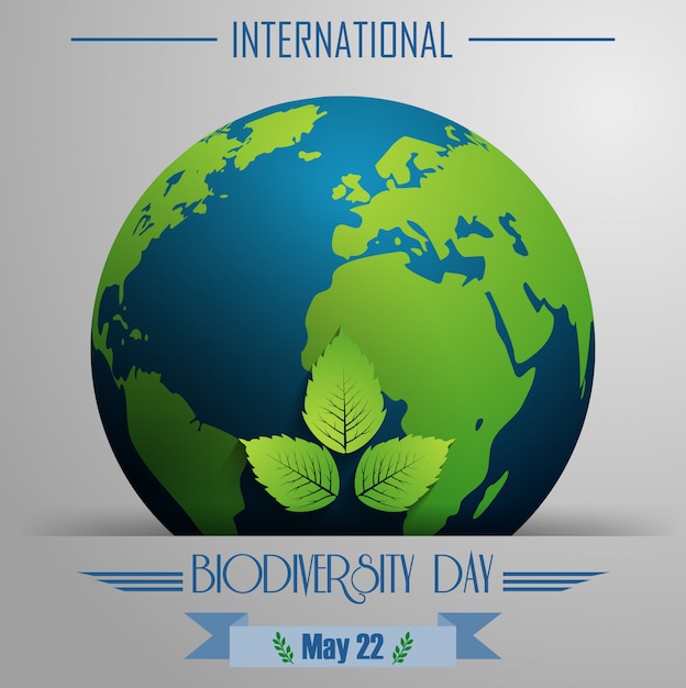 Cartel del Día Internacional de la Biodiversidad