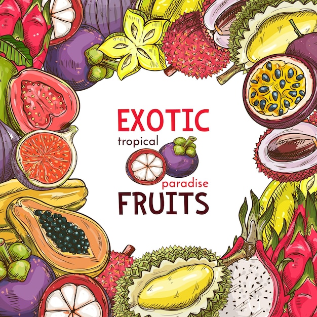 Cartel de dibujo vectorial de frutería frutas exóticas