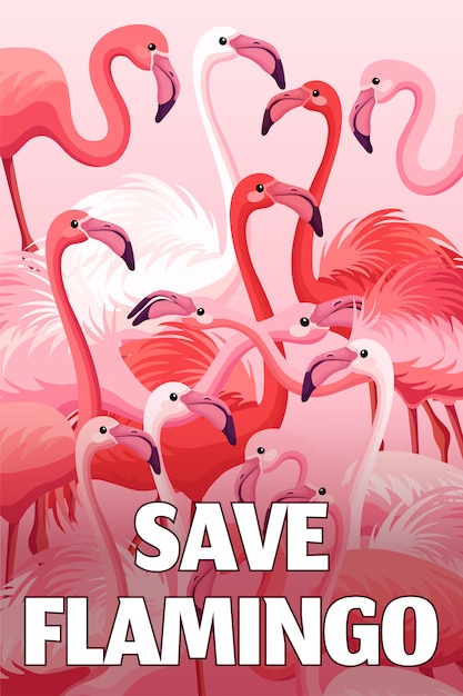 Cartel flamingo.