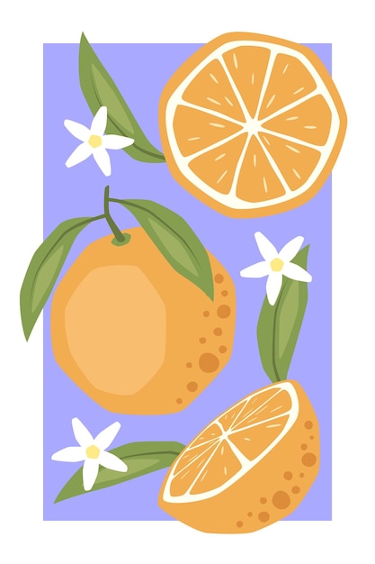 Cartel de frutas vectorial con naranja