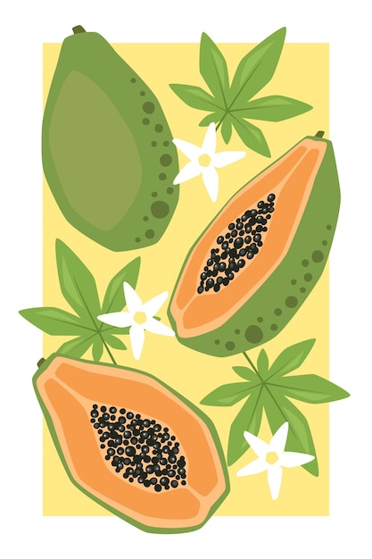 Cartel de frutas vectorial con papaya