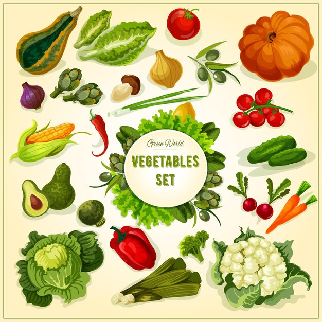Vector cartel de hierbas y verduras frescas orgánicas.