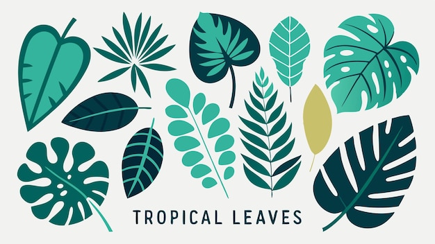 un cartel para hojas tropicales que dice hojas tropicals