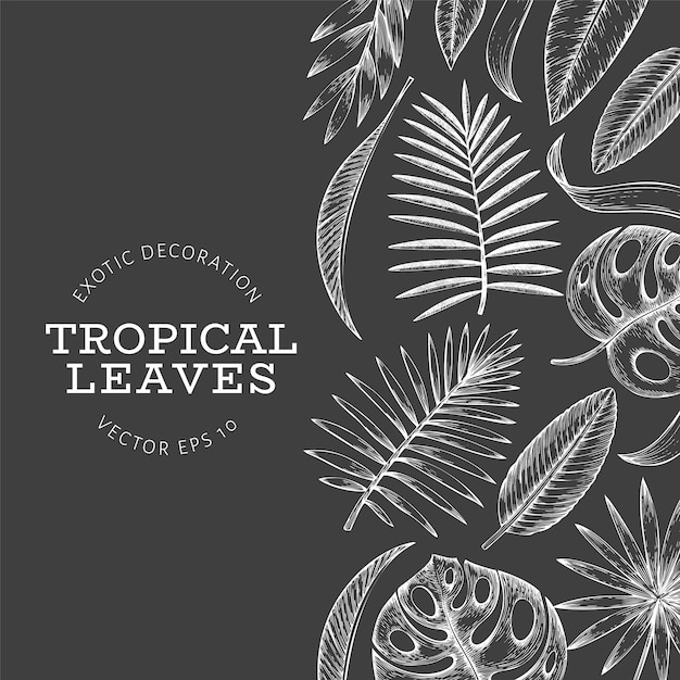 Cartel de hojas tropicales