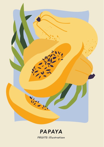 Cartel de ilustración vectorial con fruta de papaya arte para postales fondo de banner de arte de pared