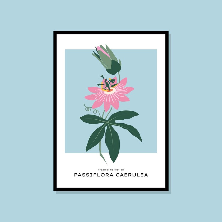 Vector cartel impreso tropical y botánico dibujado a mano para su colección de arte mural
