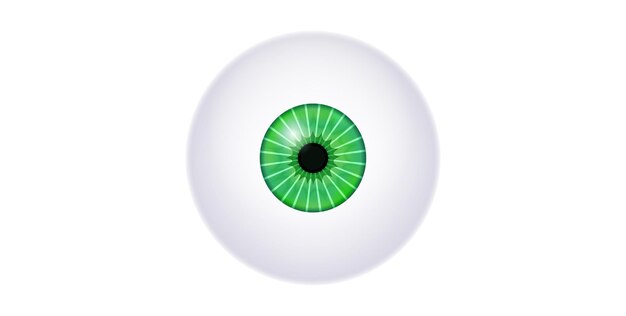 El cartel del iris