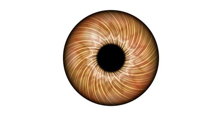 Vector el cartel del iris