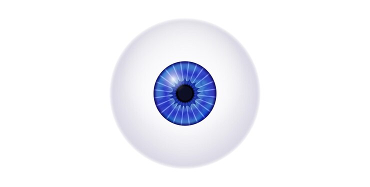 Vector el cartel del iris