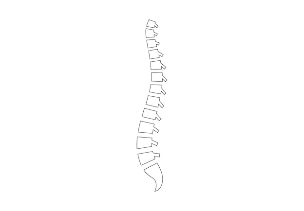 Cartel médico de la columna vertebral