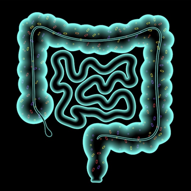 Cartel médico del microbioma intestinal. microflora, bacterias, virus y microbios en el intestino humano.