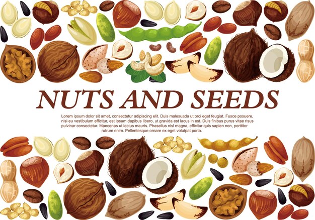 Vector cartel de nueces y frutas, semillas o frijoles vector de cacahuete o coco y avellana, pistacho o almendra