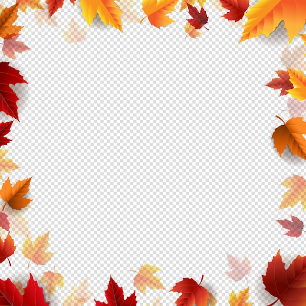 Cartel de otoño con borde de hojas fondo transparente