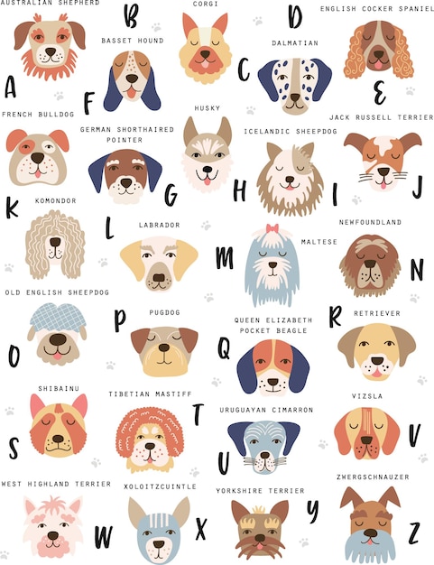 Cartel de perro con nombres de raza ilustración vectorial