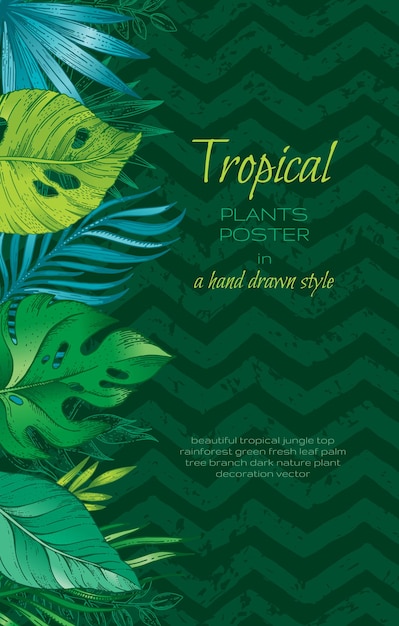 Cartel de plantas tropicales con patrón de hojas de palmera verde y swuare de pintura dibujada a mano Plantilla de banner vectorial con fondo con plantas tropicales exóticas en estilo boceto Banner de venta tropical estacional