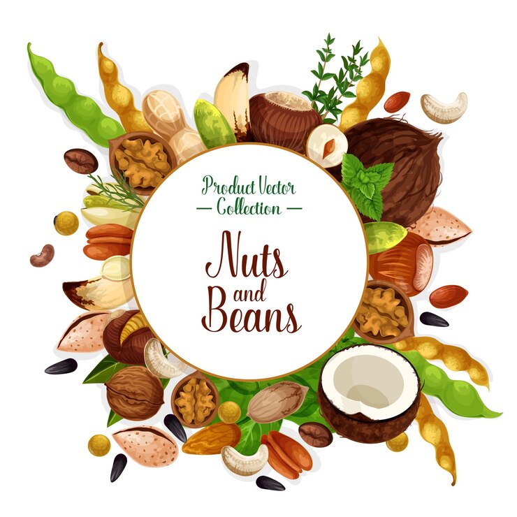 Vector cartel de semillas y hierbas de nueces y frijoles.
