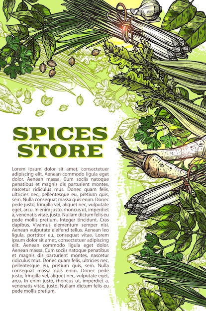 Cartel de tienda de granja de especias y hierbas de dibujo vectorial