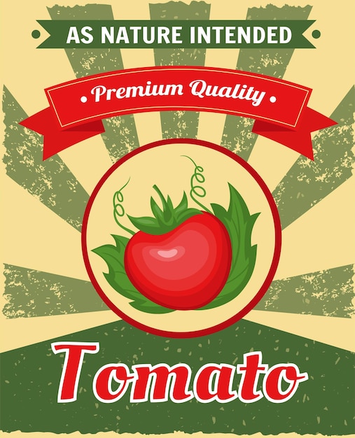 Cartel de tomate Publicidad de sopa de comida Etiqueta de paquete de arte Anuncio vintage Diseño de restaurante antiguo Menú de cena Verdura roja fresca Producto vegano Agricultura orgánica Ilustración de diseño vectorial