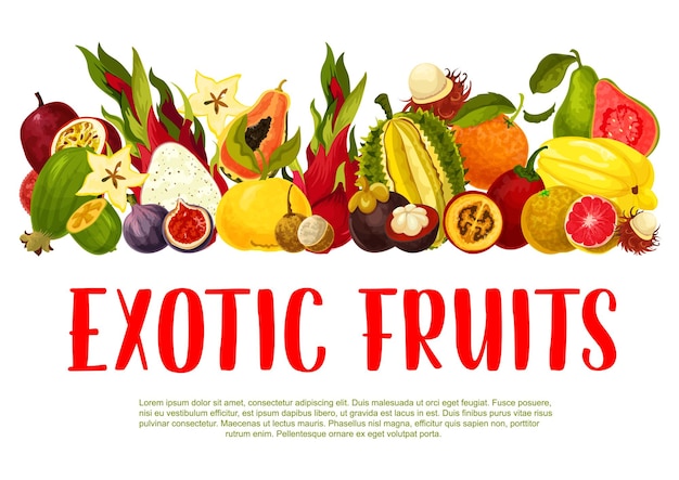 Cartel de vector de frutas exóticas tropicales