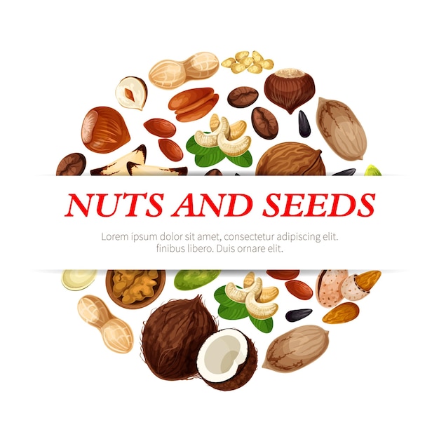 Cartel de vector de nueces frijoles y semillas de frutas