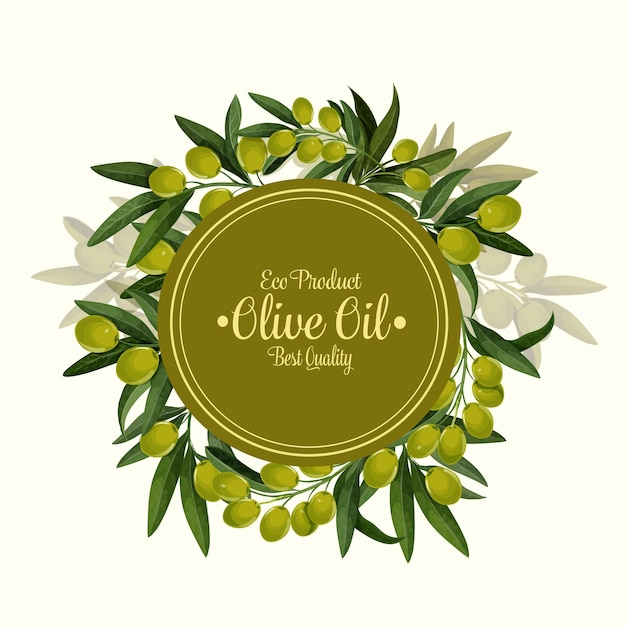 Cartel de vector de racimo de aceitunas para aceite de oliva