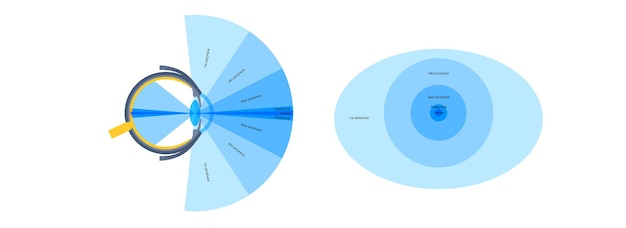 Vector cartel de la visión periférica