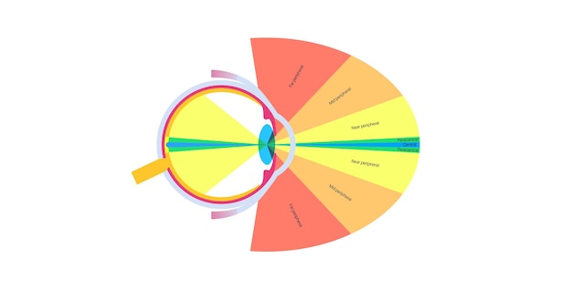 Vector cartel de la visión periférica