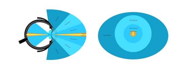 Vector cartel de la visión periférica