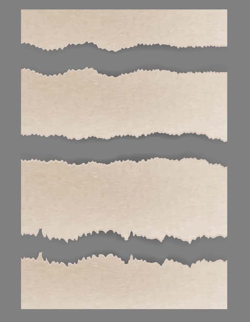 Cartón rasgado rasgado. Conjunto de vectores con textura