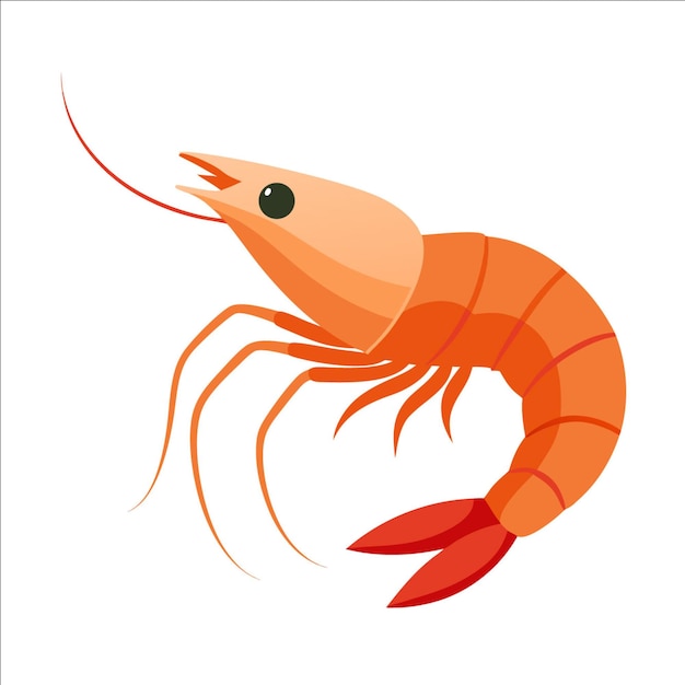 Cartoon illustration of a shrimp isolated on white background