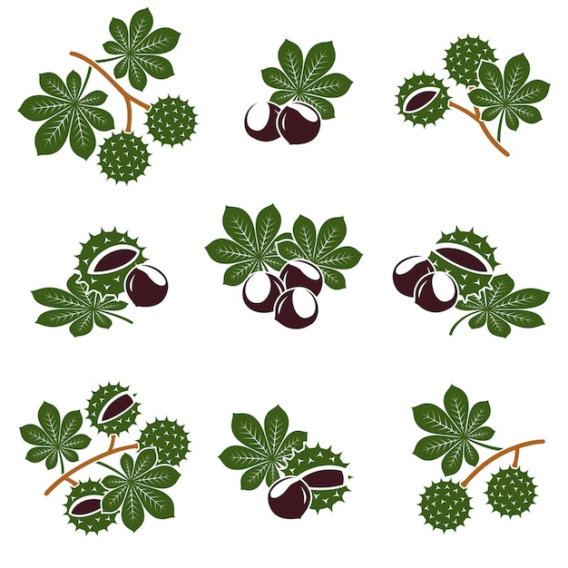 Castaño conjunto Colección icono castaño Vector