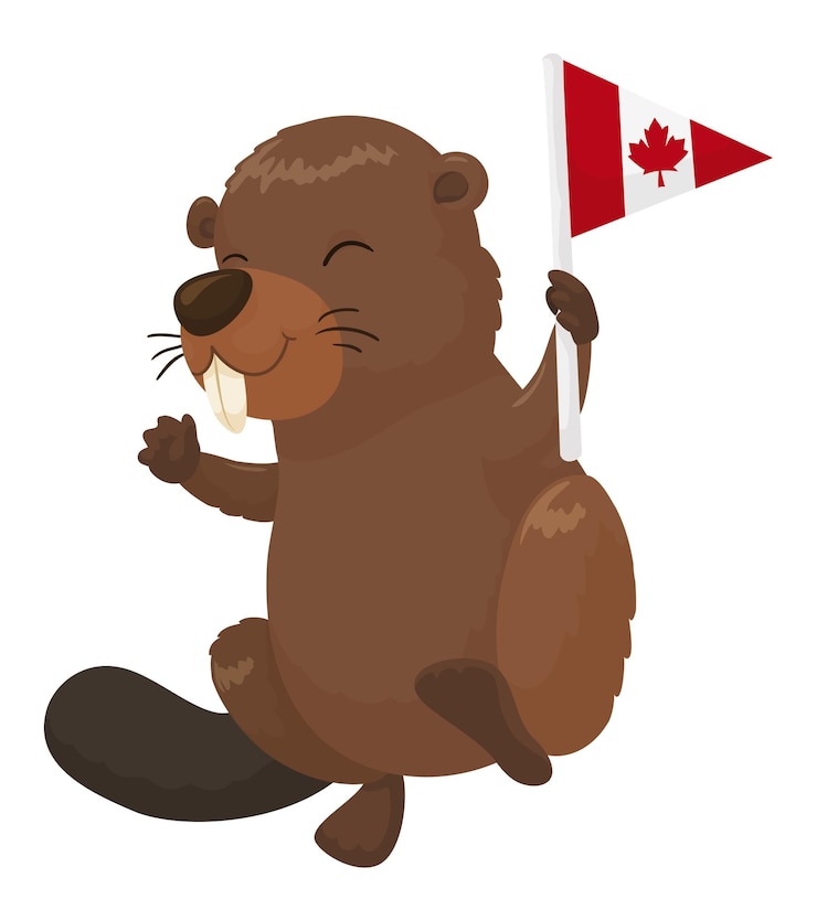 Vector el castor patriótico y festivo con un estandarte canadiense al estilo de las caricaturas