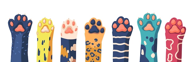 Cat Paw Row Colección de varias patas de gatito lindo Pie de animal doméstico aislado en elementos gráficos de fondo blanco