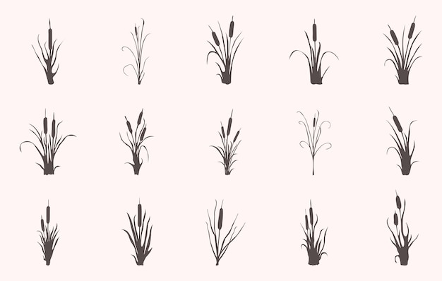 Cattail svg Cattails svg silueta de Cattail silueta de la planta Cattail planta svg vectores de cattail clipart del conjunto de iconos de catail