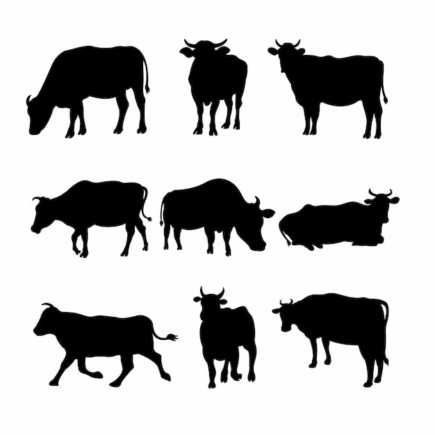 Cattle Silhouettes A Collection of Cows and Bovines