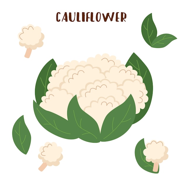 El cauliflower