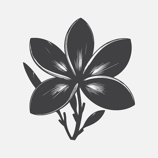 La cautivadora silueta de la flor de la plumeria, una perfecta mezcla de elegancia y simplicidad